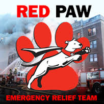 Red Paw, Jennifer's organization (Flickr)